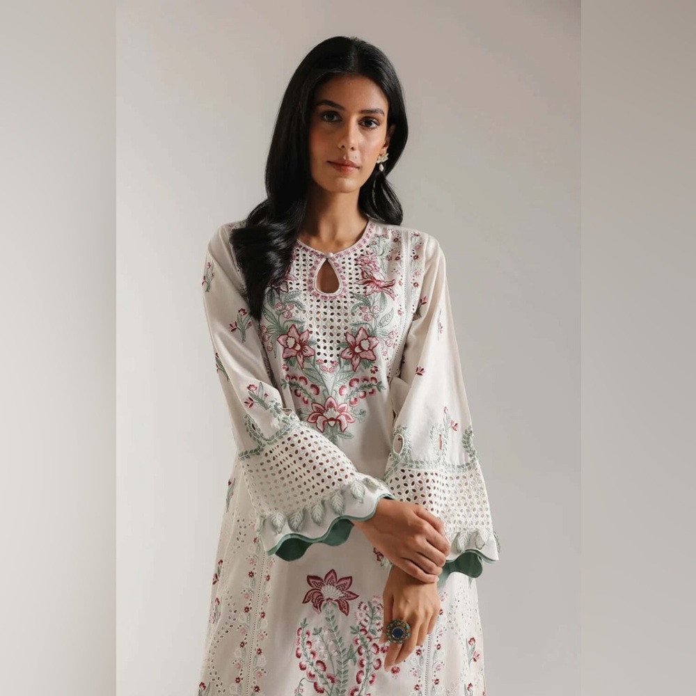 Pakistani Ethnic Brand Outfit